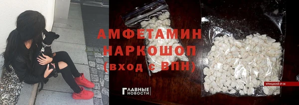 прущие грибы Ачинск