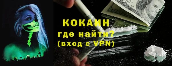 крисы Надым