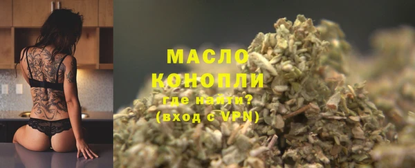 крисы Надым