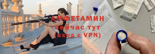 крисы Надым