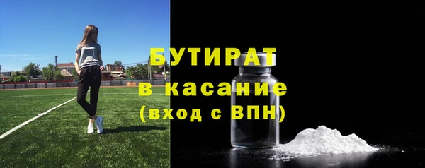 крисы Надым