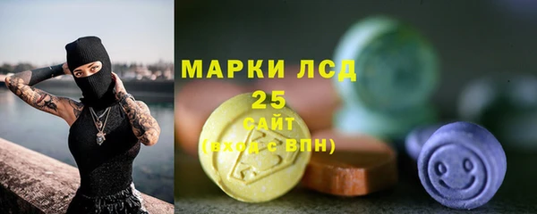 крисы Надым