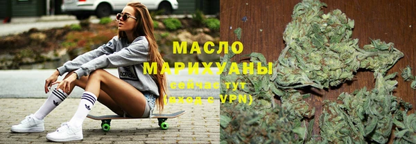 крисы Надым