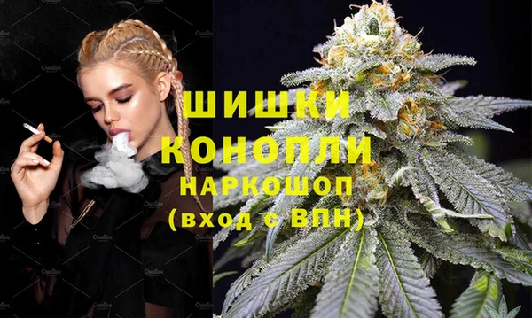 крисы Надым