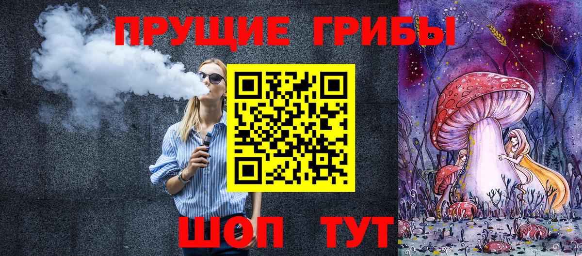 Тверь  Галлюциногенные грибы Cubensis  Вход с VPN 