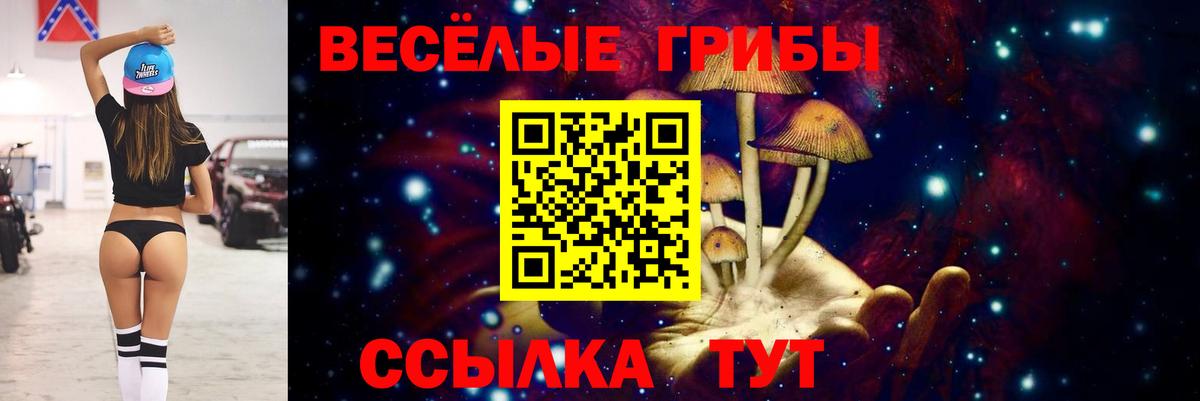 Галлюциногенные грибы Magic Shrooms Тверь