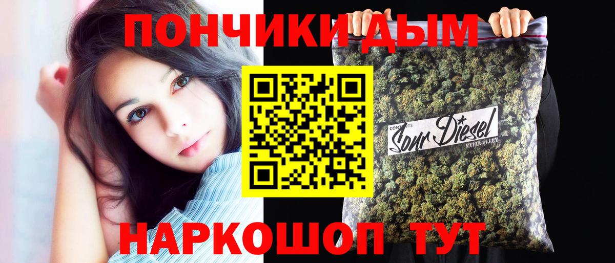 Бошки марихуана сатива Тверь